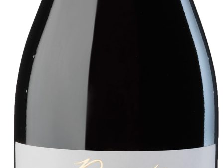 Dipinti Pinot Noir Trentino Doc 2022 Online now